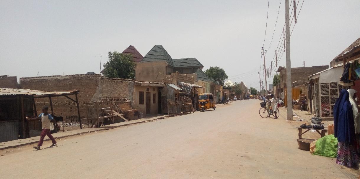 Image result for kano state metropolis